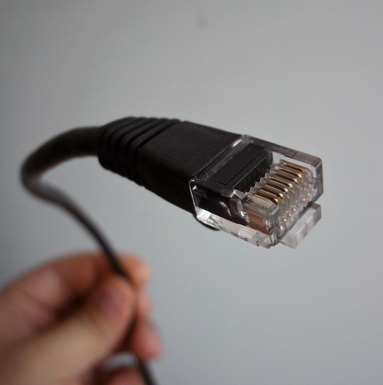 ethernet, network cable, networking, business, communication, gray network, gray community, gray communication, ethernet, ethernet, ethernet, ethernet, ethernet